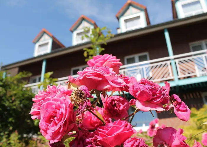 ブルムラゲ ホテル 3*